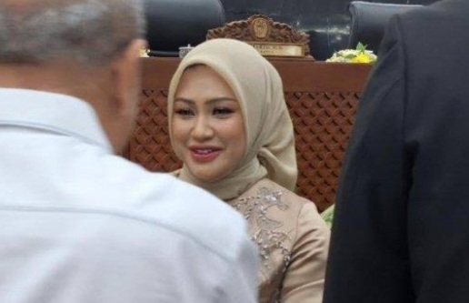 Erni Ariyanti Sitorus, Ketua DPRD Provinsi Tercantik se Indonesia Dapat Dukungan Aktivis